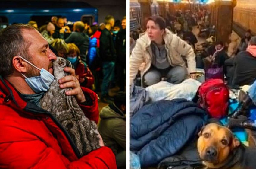  Des photos déchirantes montrent des Ukrainiens accrochés à leurs animaux de compagnie pendant leur fuite