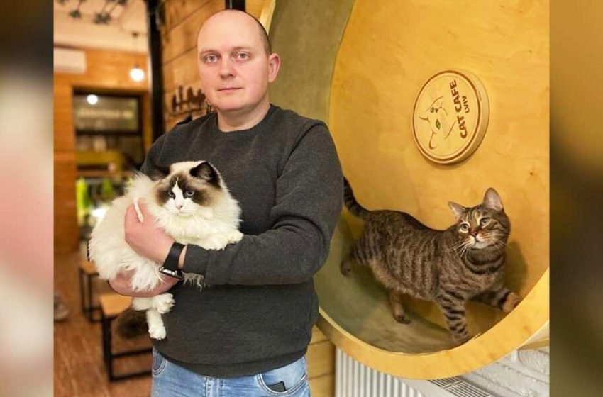  L’Ukrainian Cat Cafe reste ouvert pour prendre soin de ses 20 résidents même pendant la guerre