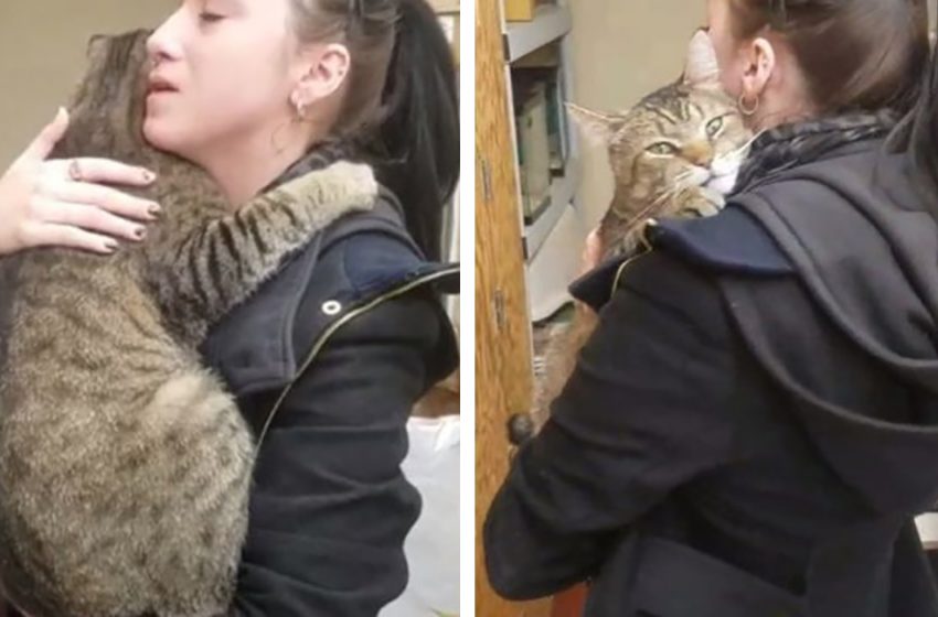  Le chat du refuge a serré la fille dans ses bras et a refusé de le laisser partir