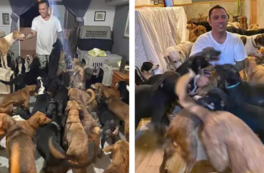  Un homme généreux accueille 300 chiens dans sa maison pour les protéger de l’ouragan