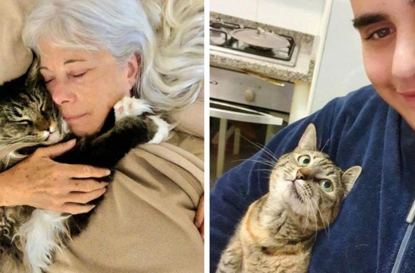  Questo è vero amore! Le foto più carine di animali con i loro proprietari